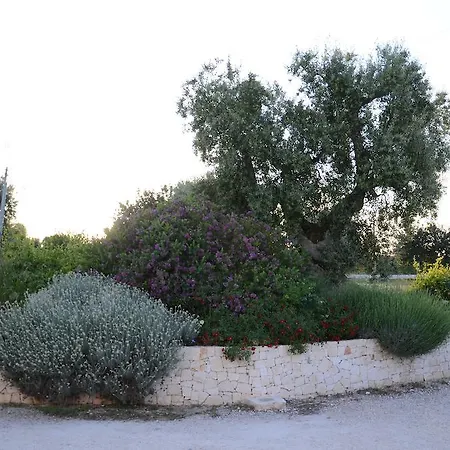 Tenuta Chianchizza *
